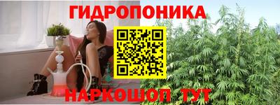 твердый Партизанск
