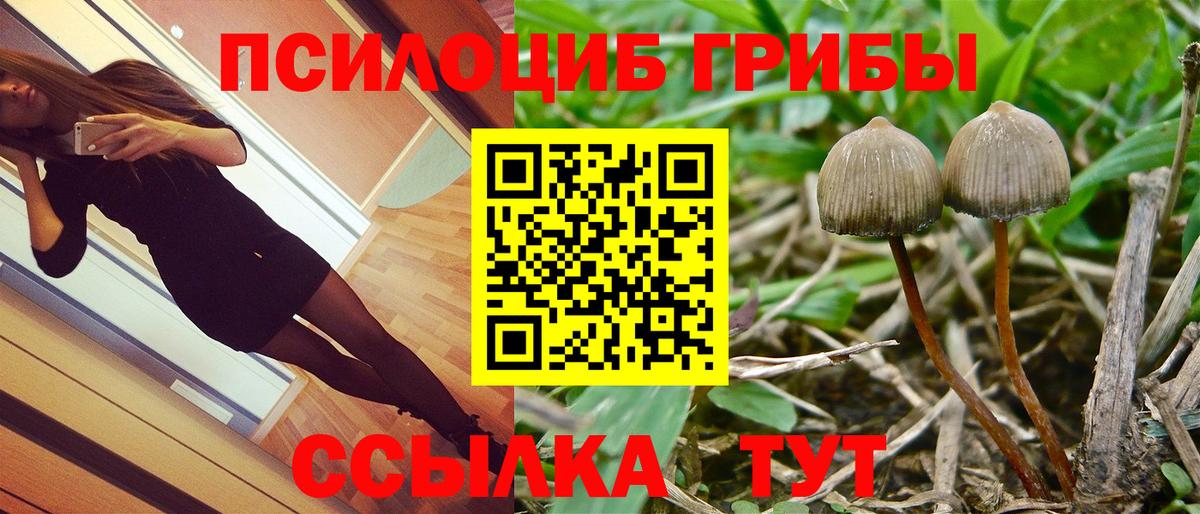 Мефедрон   Alpha-PVP СК кристаллы  Кетамин  Вход с VPN  Тавда  ГАШИШ  Бошки Шишки  КОКАИН  Амфетамин   НБОМе 
