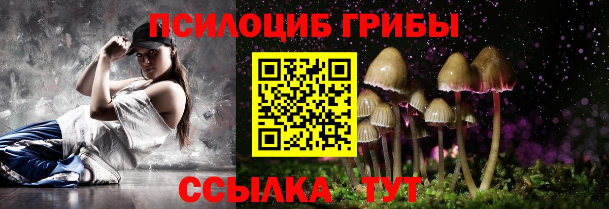 Галлюциногенные грибы Cubensis Тавда